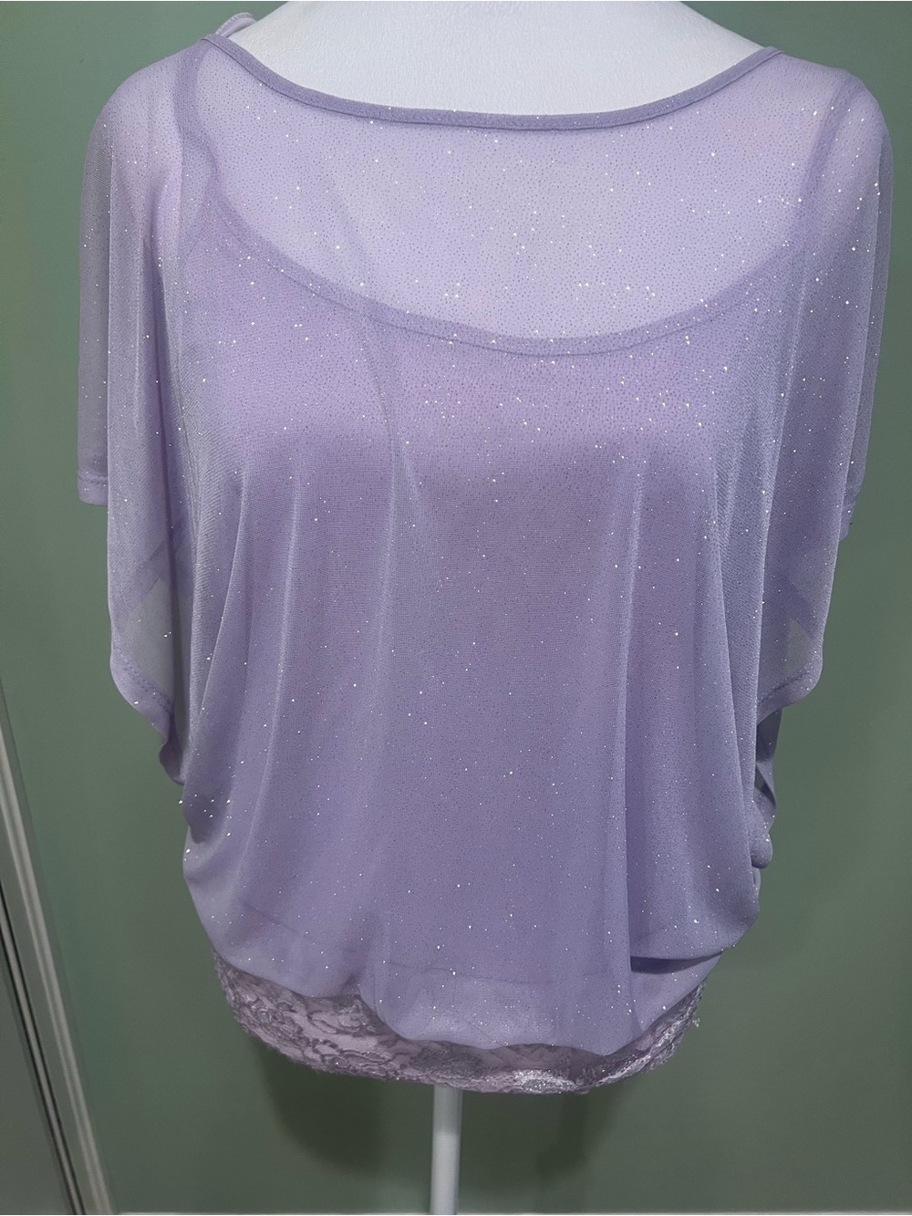 Studio Y Lavender Sheer Sparkle Blouse